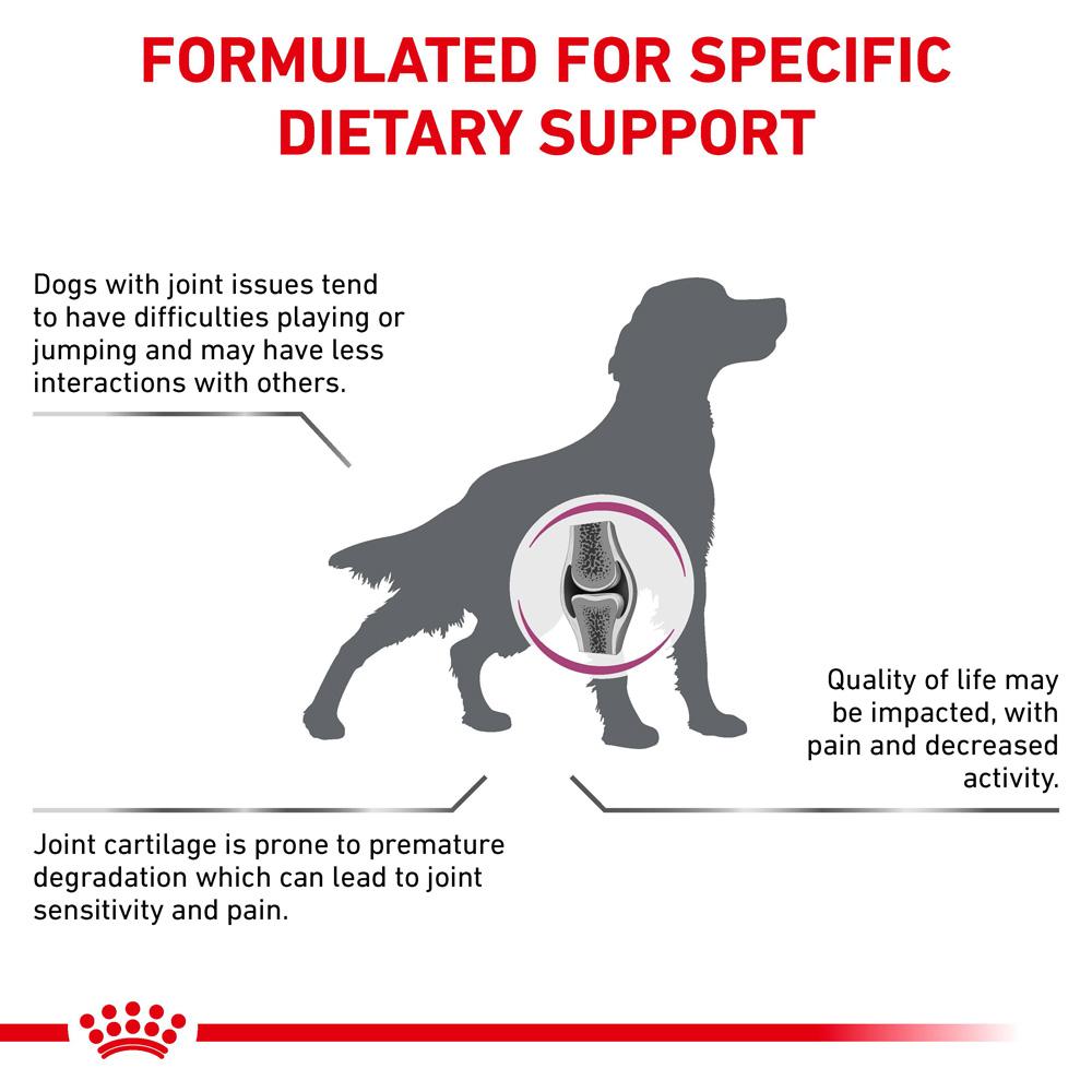 Royal Canin Veterinary Mobility C2P+ Dry Dog Food