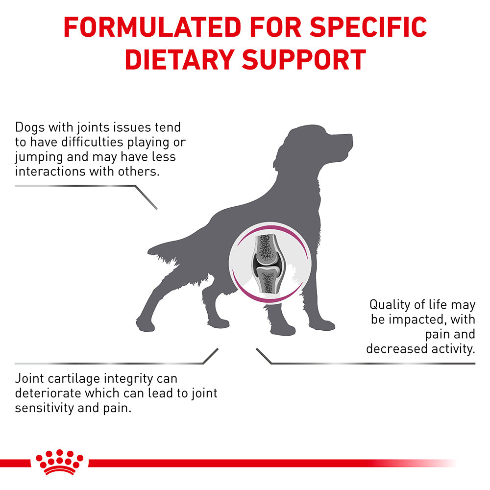 Royal Canin Veterinary Mobility C2P+ Dry Dog Food