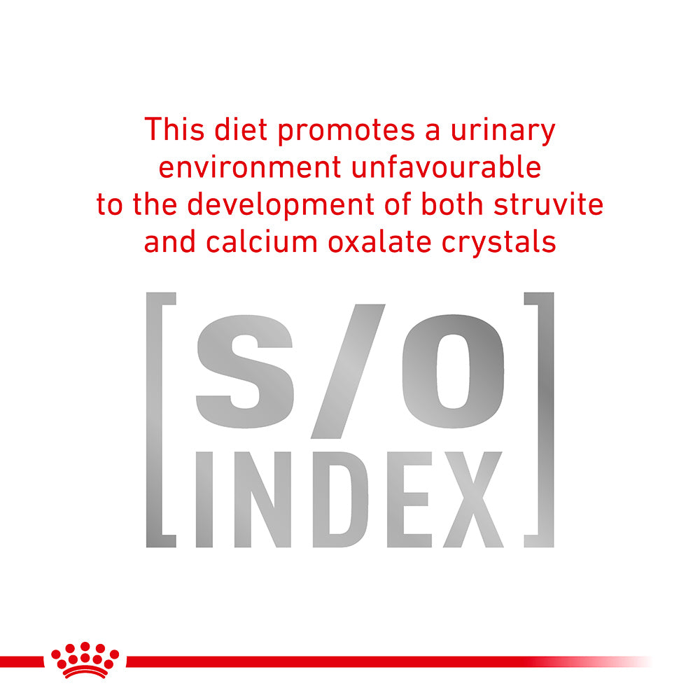 Royal Canin Veterinary Mobility C2P+ Dry Dog Food