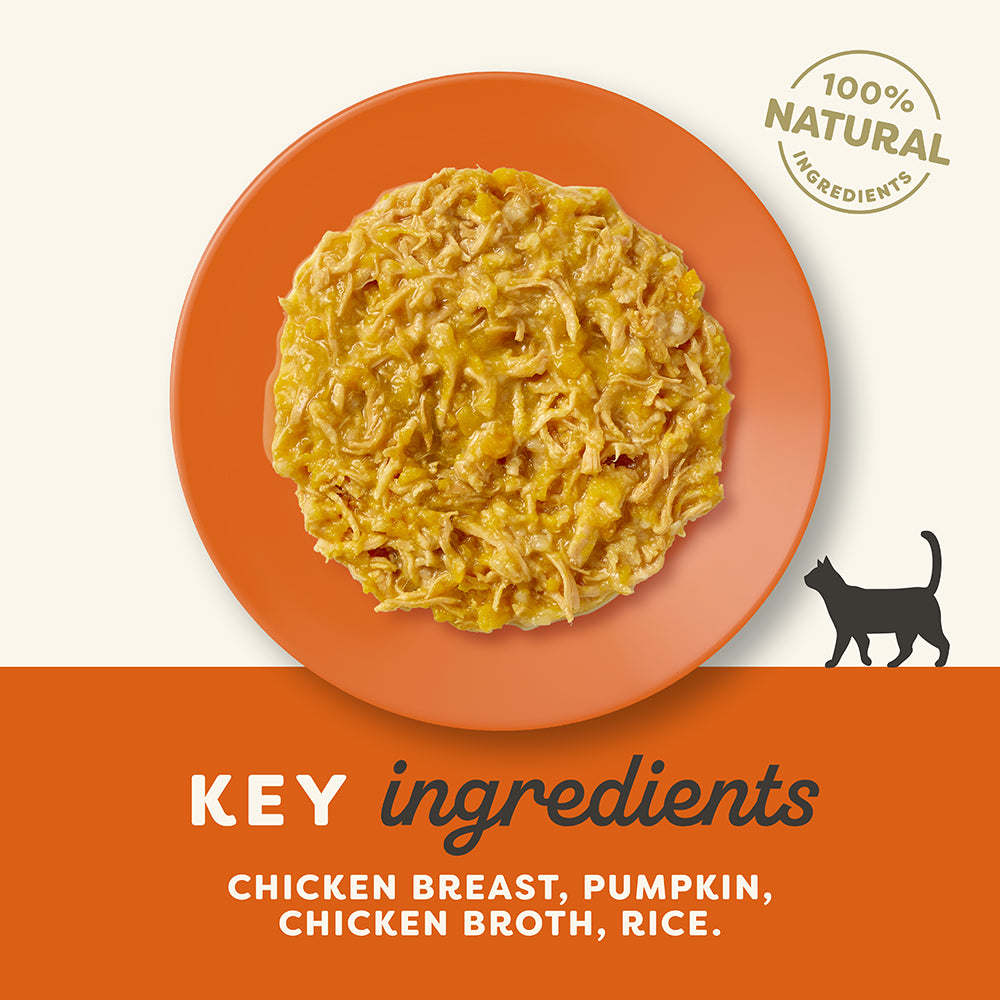 Applaws Chicken & Pumpkin Pouch Wet Cat Food