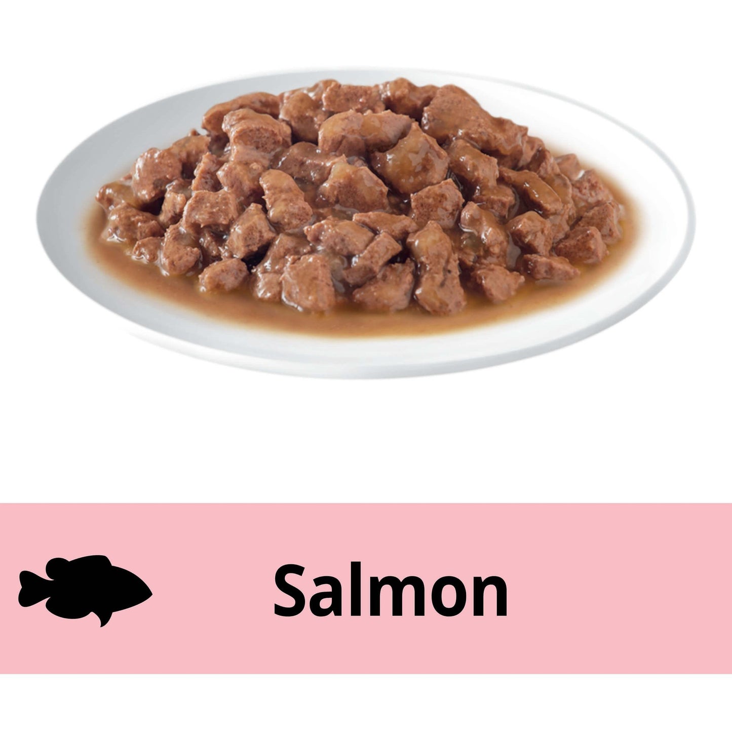 Dine Daily Variety Saucy Morsels & Salmon Wet Cat Food