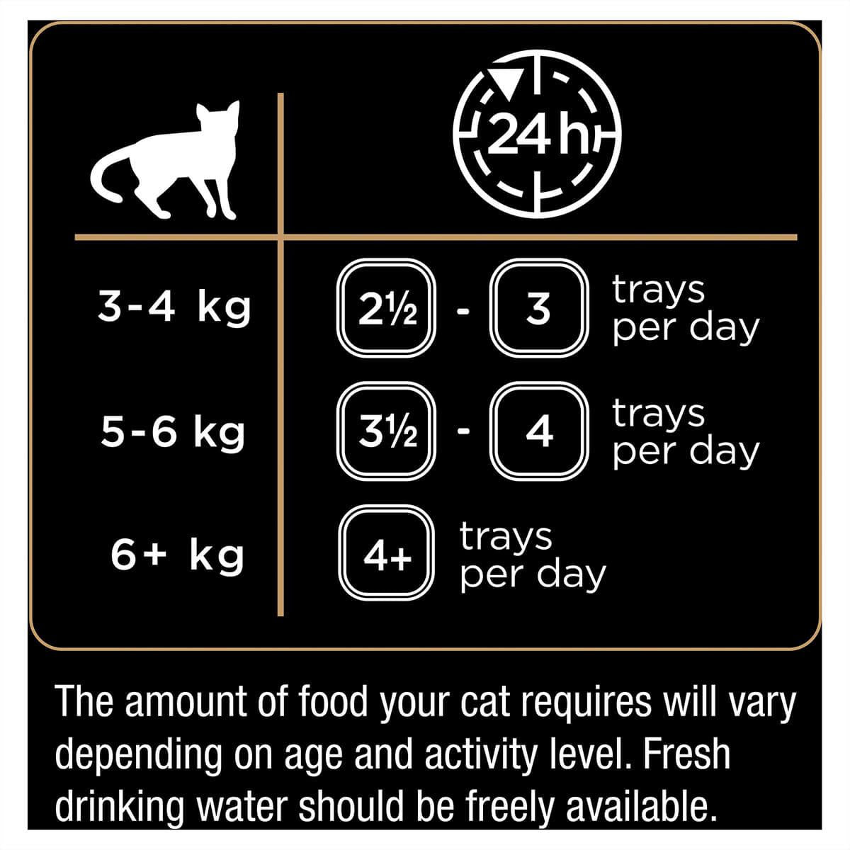 Dine Daily Variety Saucy Morsels & Salmon Wet Cat Food