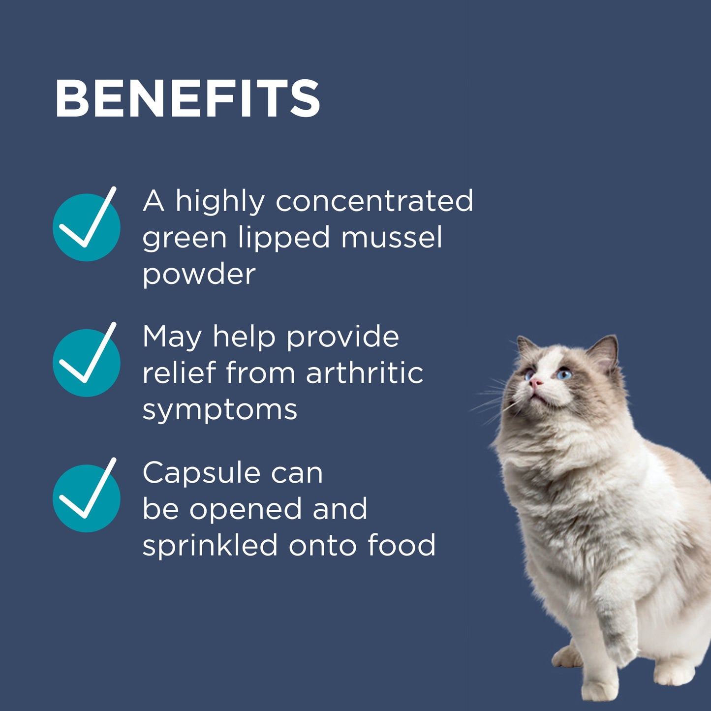PAW Osteosupport Joint Care Powder For Cats