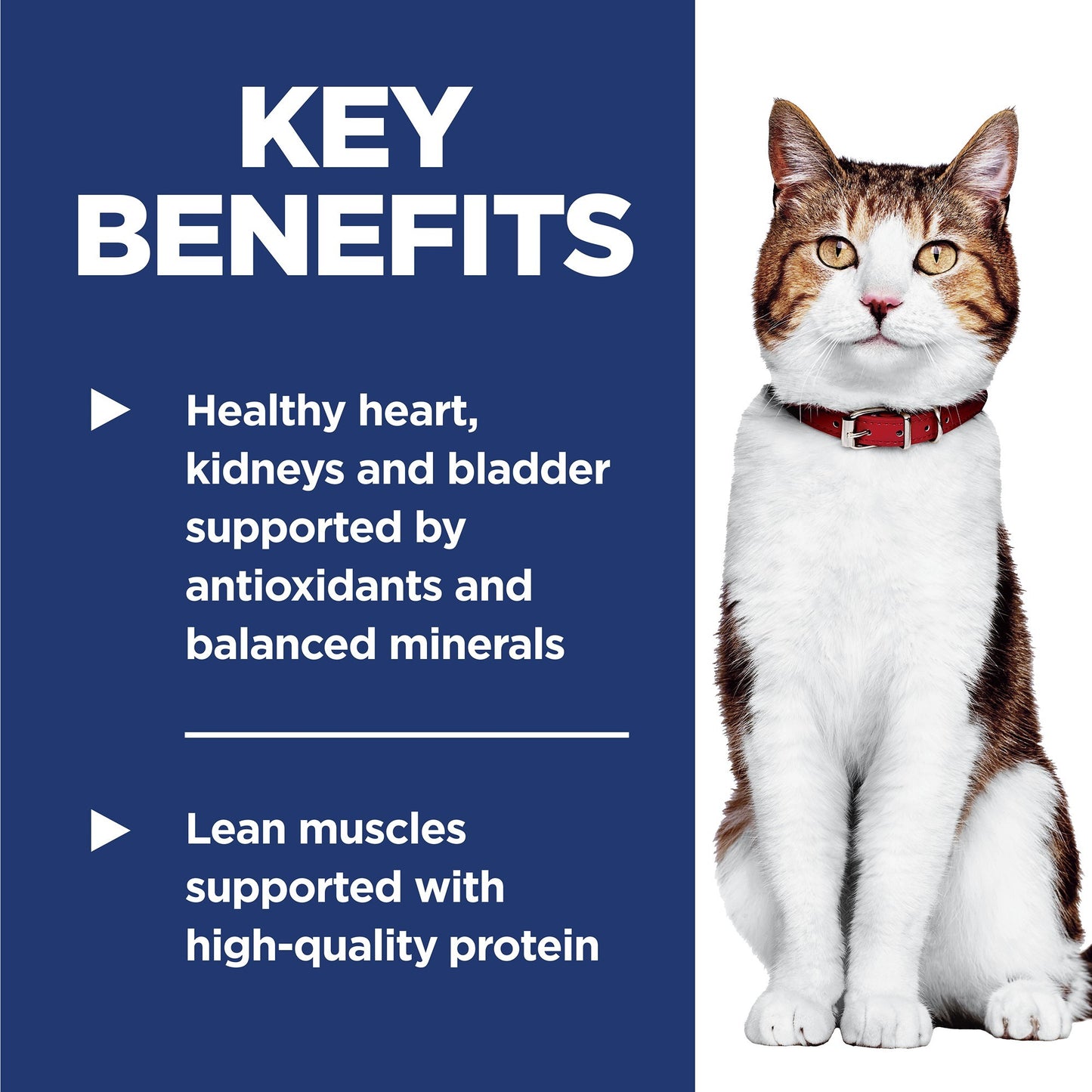 Hill's Science Diet 11+ Senior Dry Cat Food
