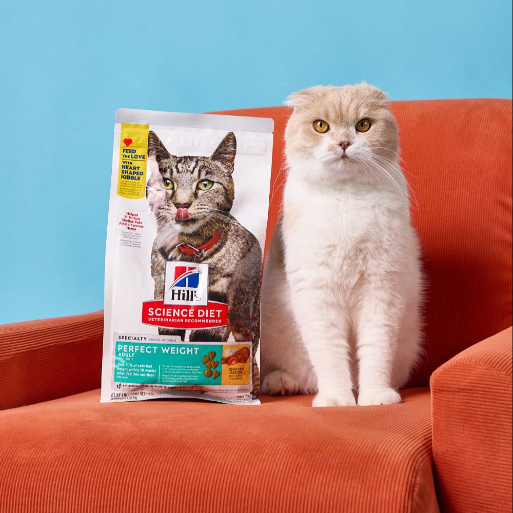 Hill's Science Diet Perfect Weight Adult Dry Cat Food