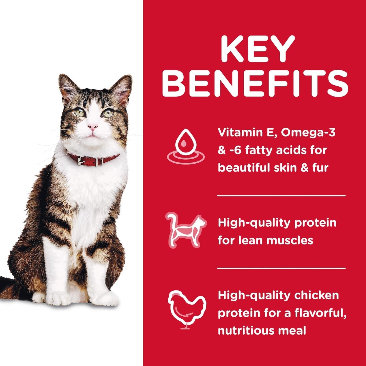 Hill's Science Diet Hairball Control Adult Chicken Dry Cat Food