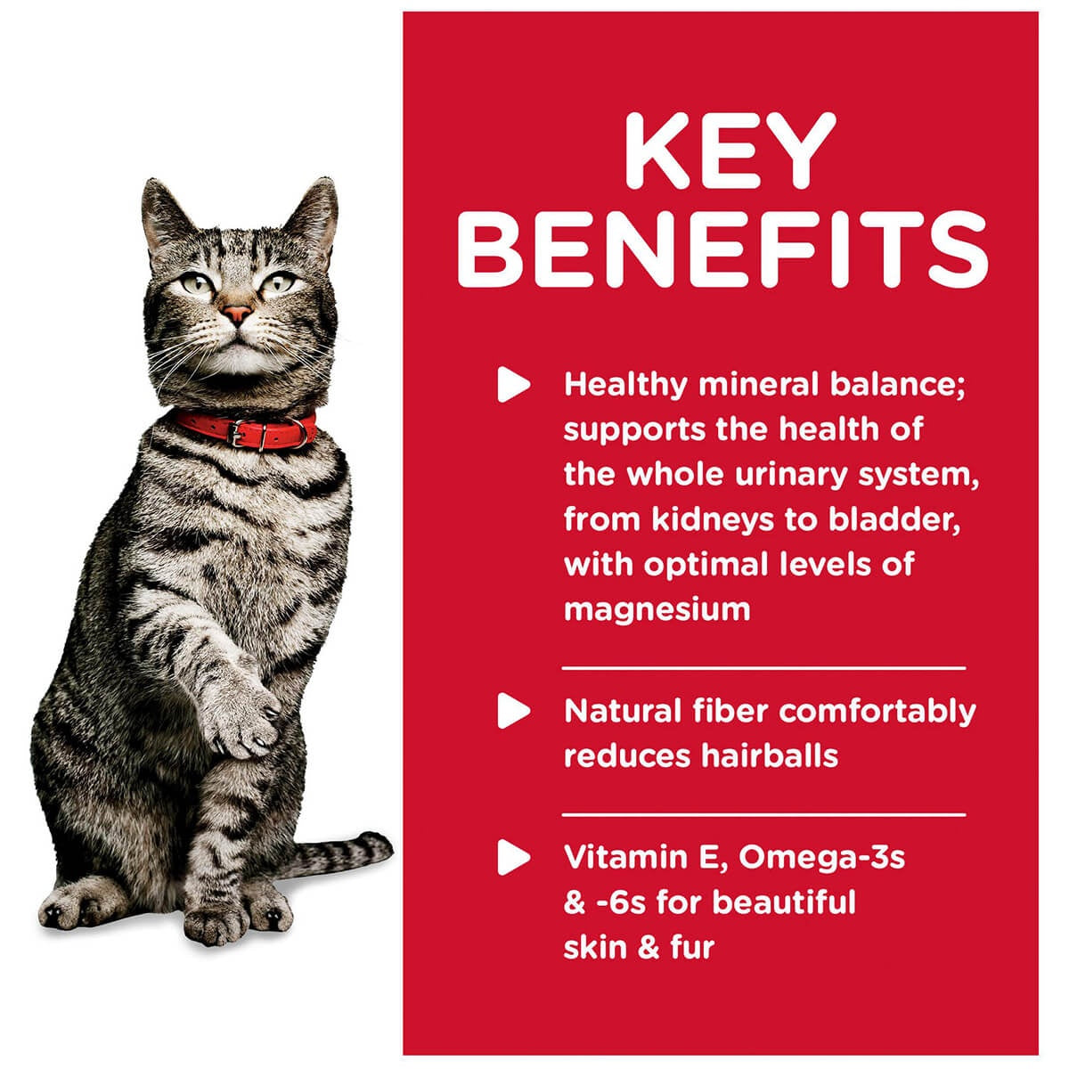 Hill's Science Diet Urinary Hairball Control Adult Chicken Wet Cat Food 85g