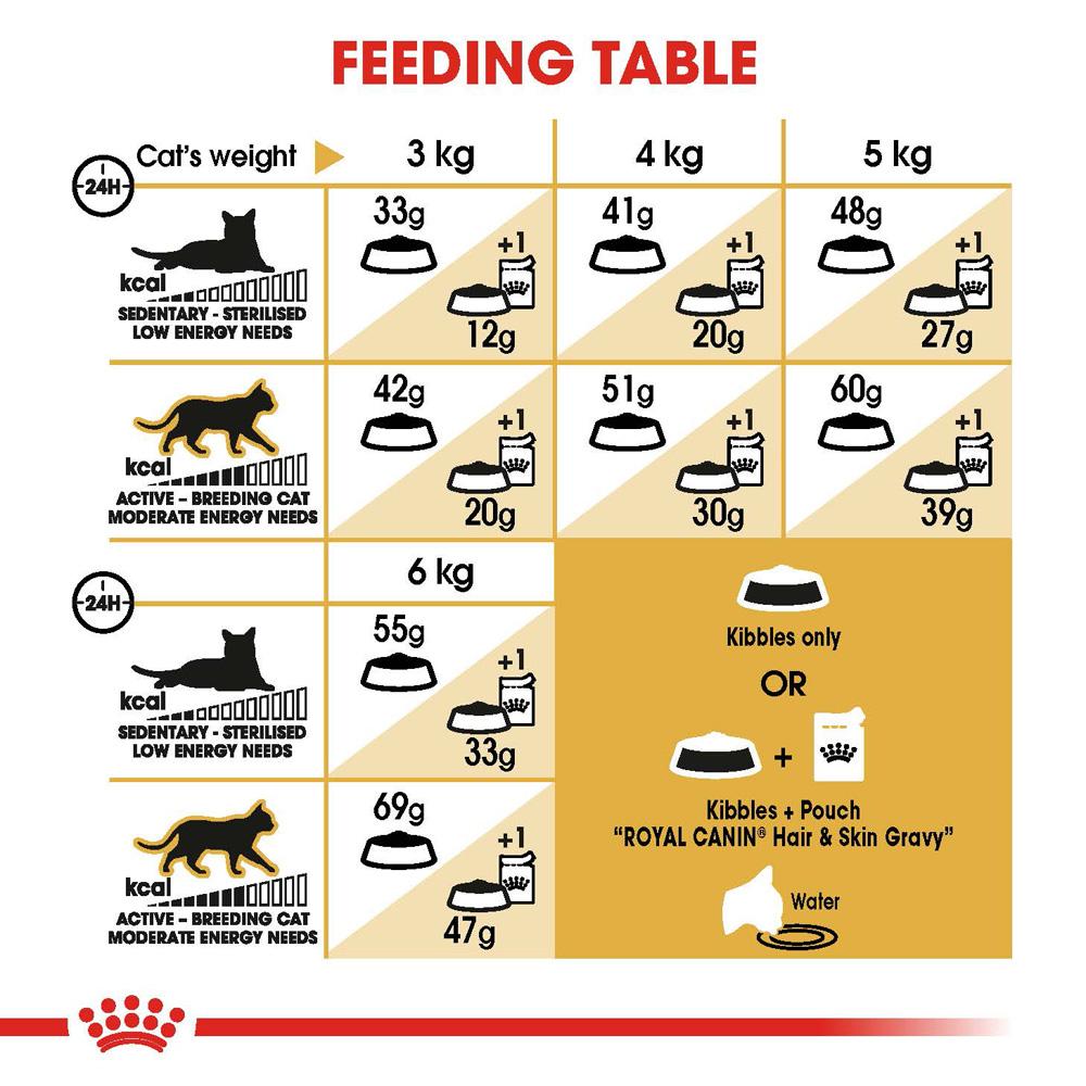 Royal Canin Siamese Adult Dry Cat Food