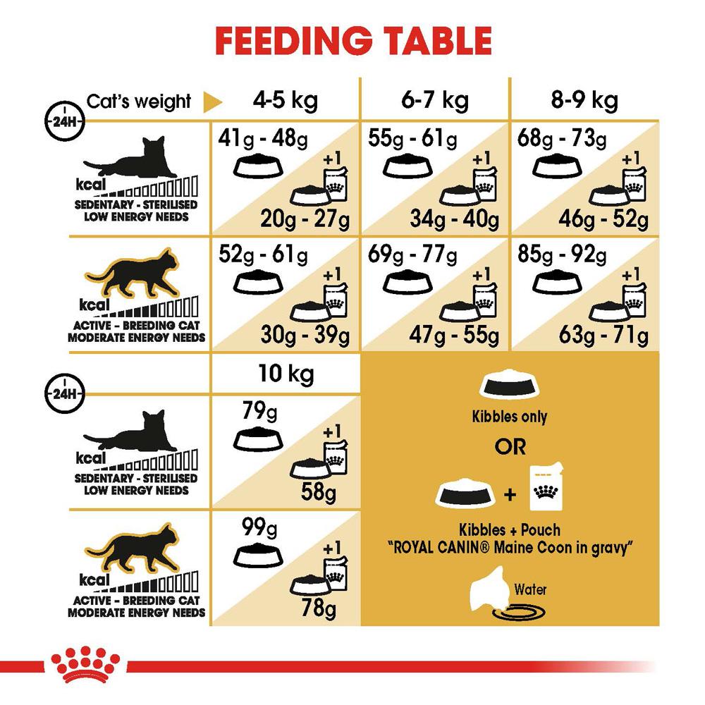 Royal Canin Maine Coon Dry Cat Food