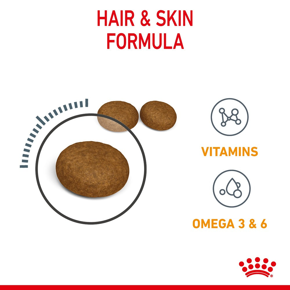 Royal Canin Hair & Skin Care Adult Dry Cat Food