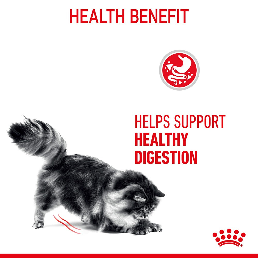 Royal Canin Digestive Care Gravy Adult Wet Cat Food