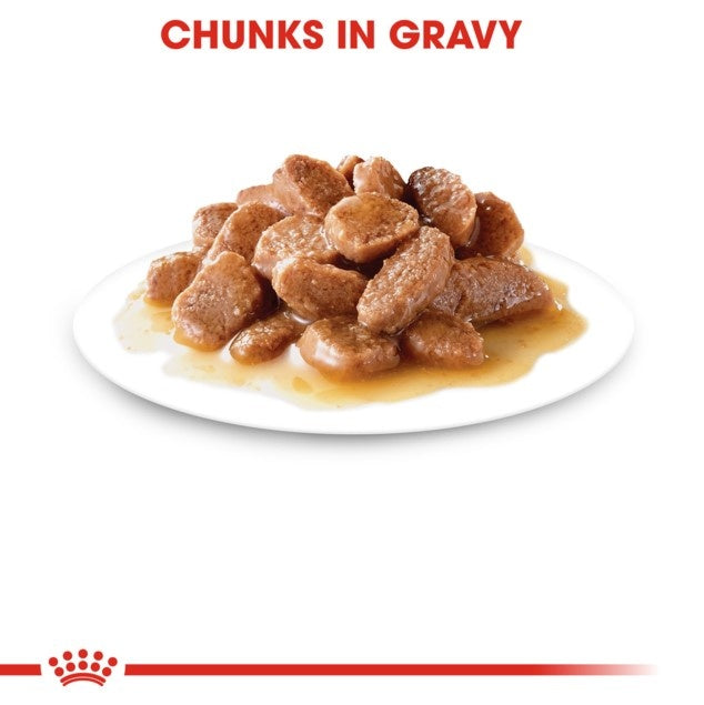 Royal Canin Instinctive Gravy Adult Wet Cat Food