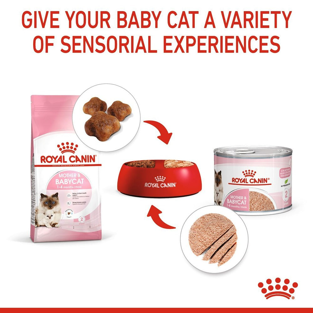 Royal Canin Mother & Babycat Kitten Wet Cat Food