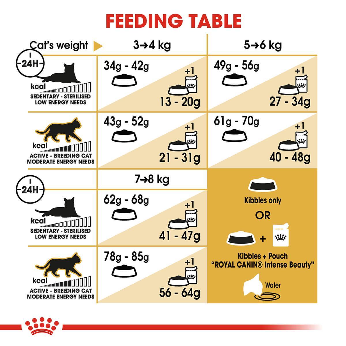 Royal Canin Ragdoll Adult Dry Cat Food