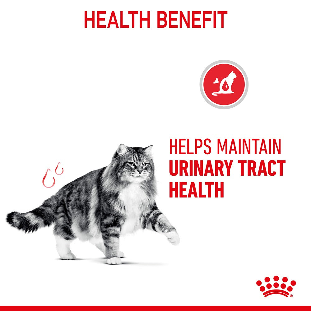 Royal Canin Urinary Care Gravy Adult Wet Cat Food 85g