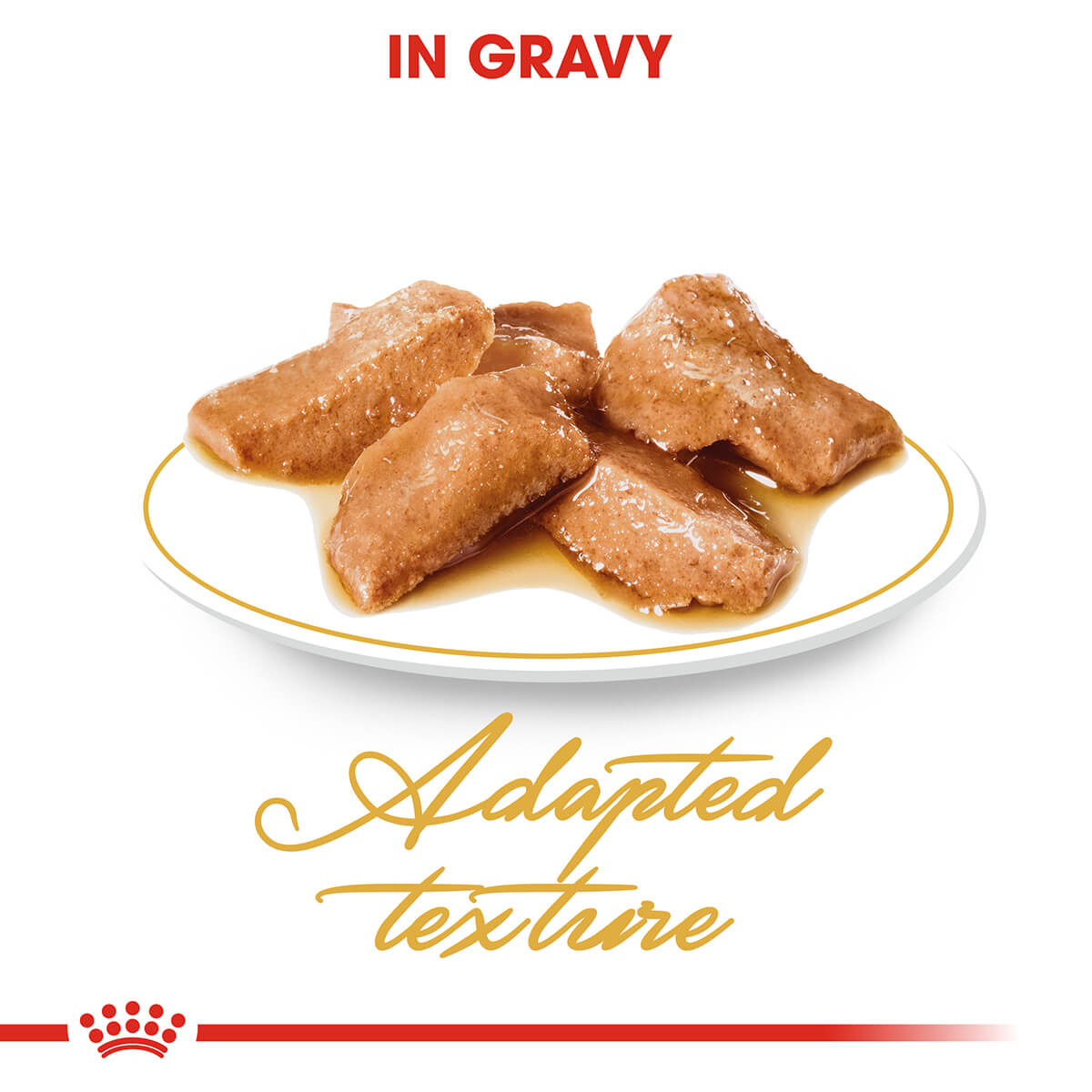 Royal Canin Maine Coon Adult In Gravy Wet Cat Food