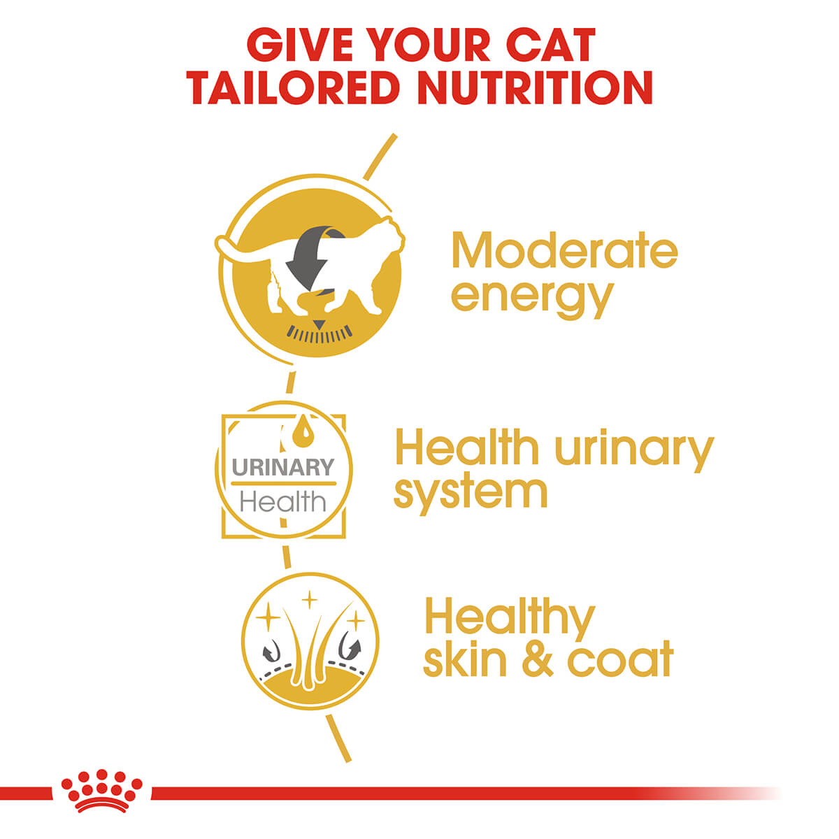 Royal Canin British Shorthair Adult In Gravy Wet Cat Food