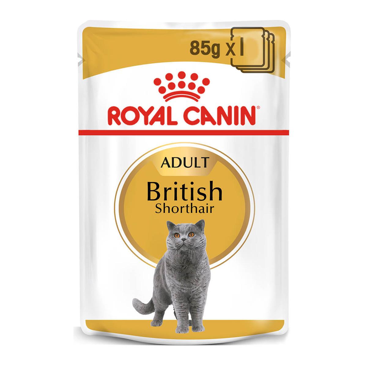 Royal Canin British Shorthair Adult In Gravy Wet Cat Food