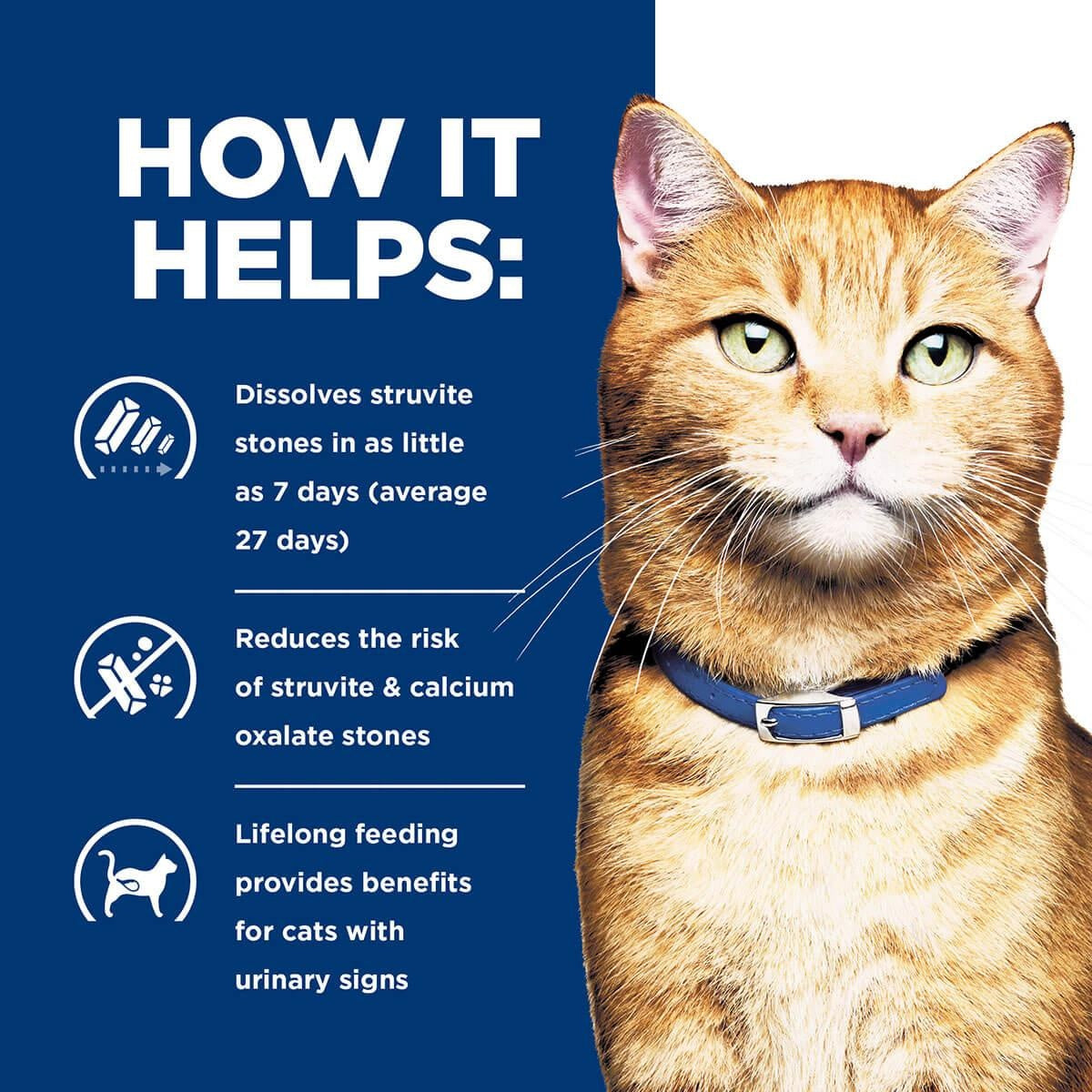 Hill's Prescription Diet C/D Urinary Care Dry Cat Food