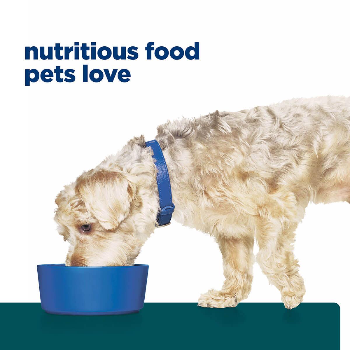 Hill's Prescription Diet W/D Multi-Benefit Dry Dog Food