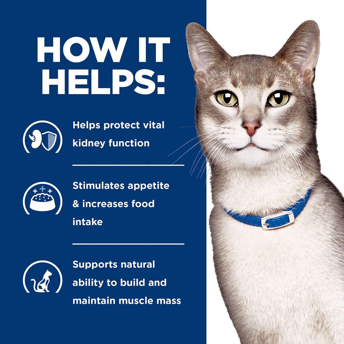Hill's Prescription Diet K/D Kidney Care Dry Cat Food