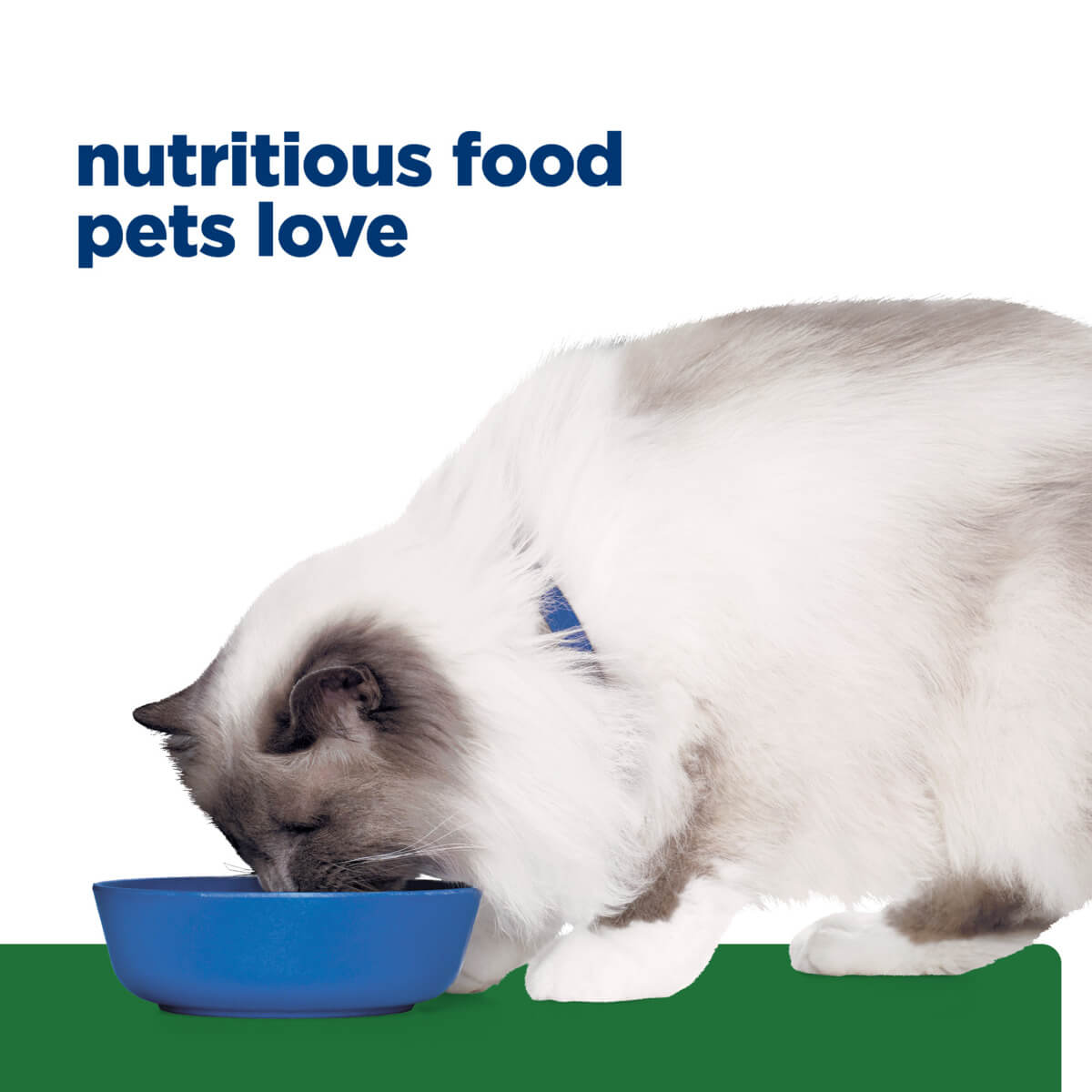 Hill's Prescription Diet R/D Weight Loss Dry Cat Food
