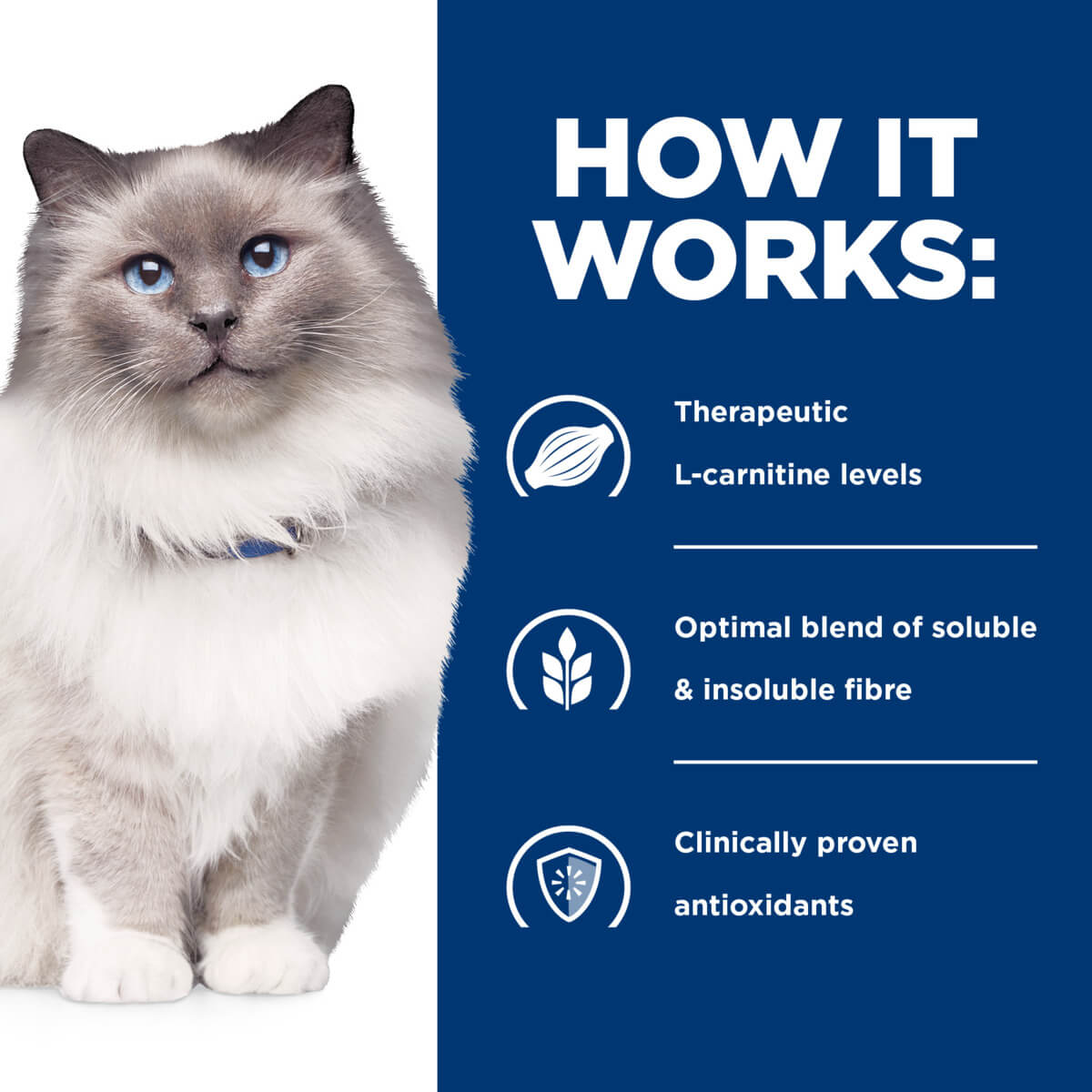 Hill's Prescription Diet R/D Weight Loss Dry Cat Food