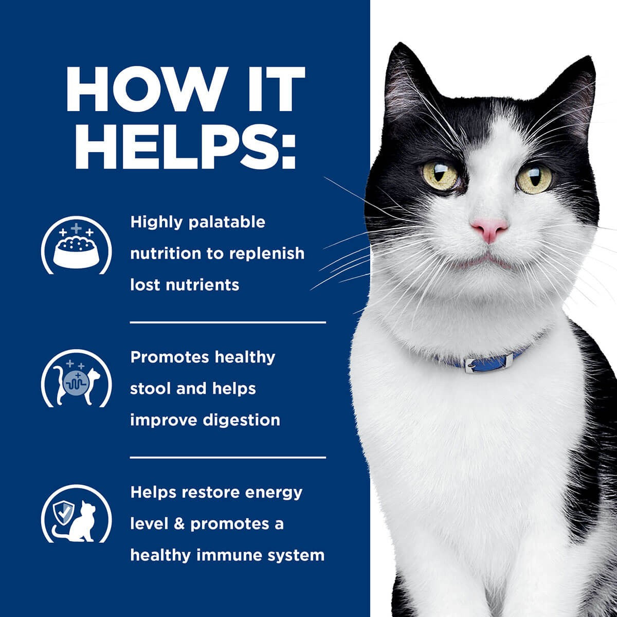 Hill's Prescription Diet I/D Digestive Care Dry Cat Food