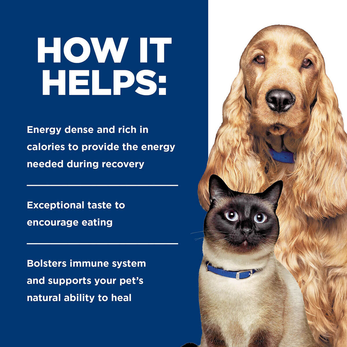Hill's Prescription Diet A/D Urgent Care Chicken Wet Dog & Cat Food