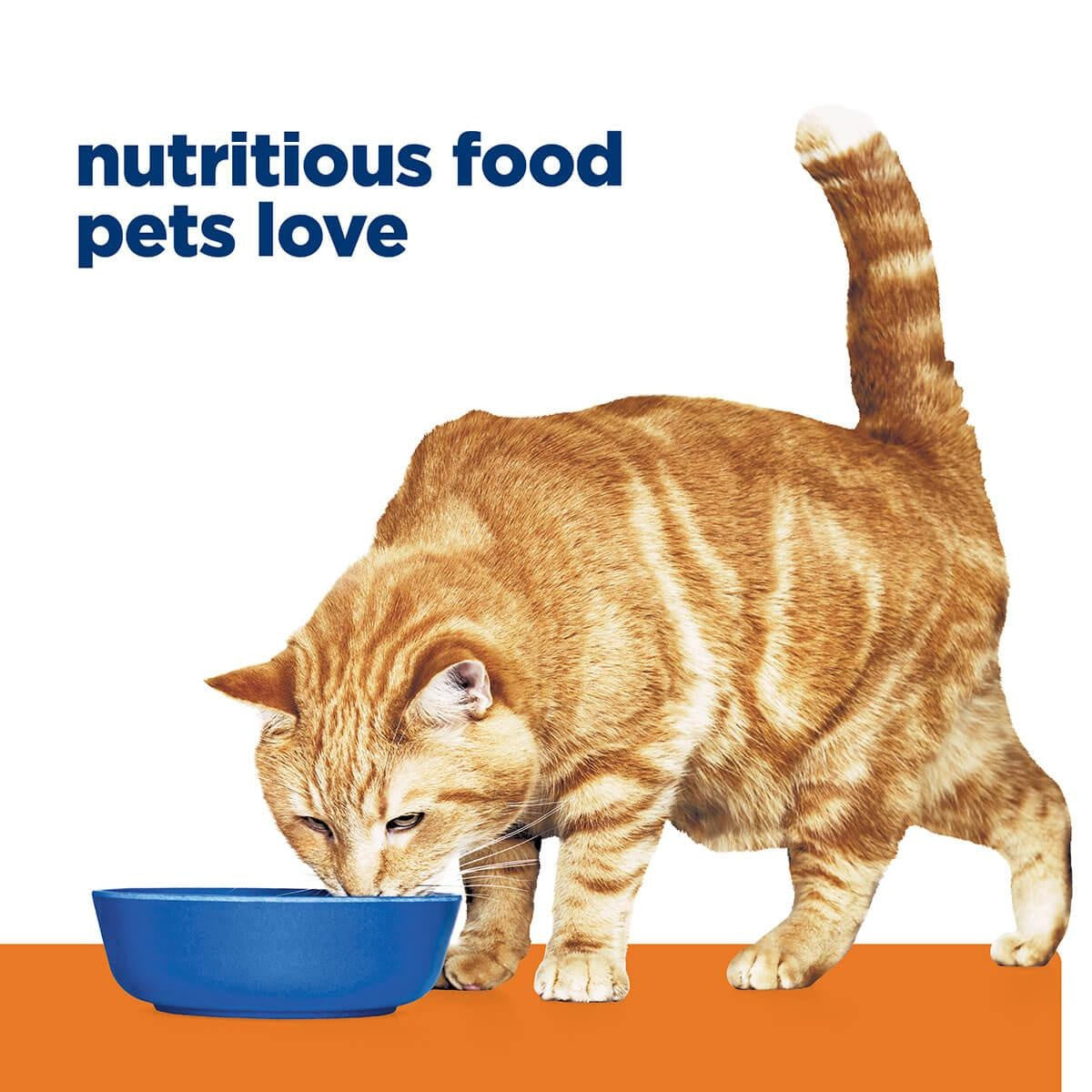 Hill's Prescription Diet C/D Urinary Care Chicken & Vegetable Stew Wet Cat Food