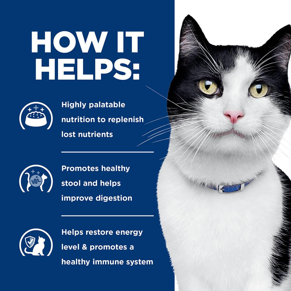 Hill's Prescription Diet I/D Digestive Care Chicken & Vegetable Stew Wet Cat Food