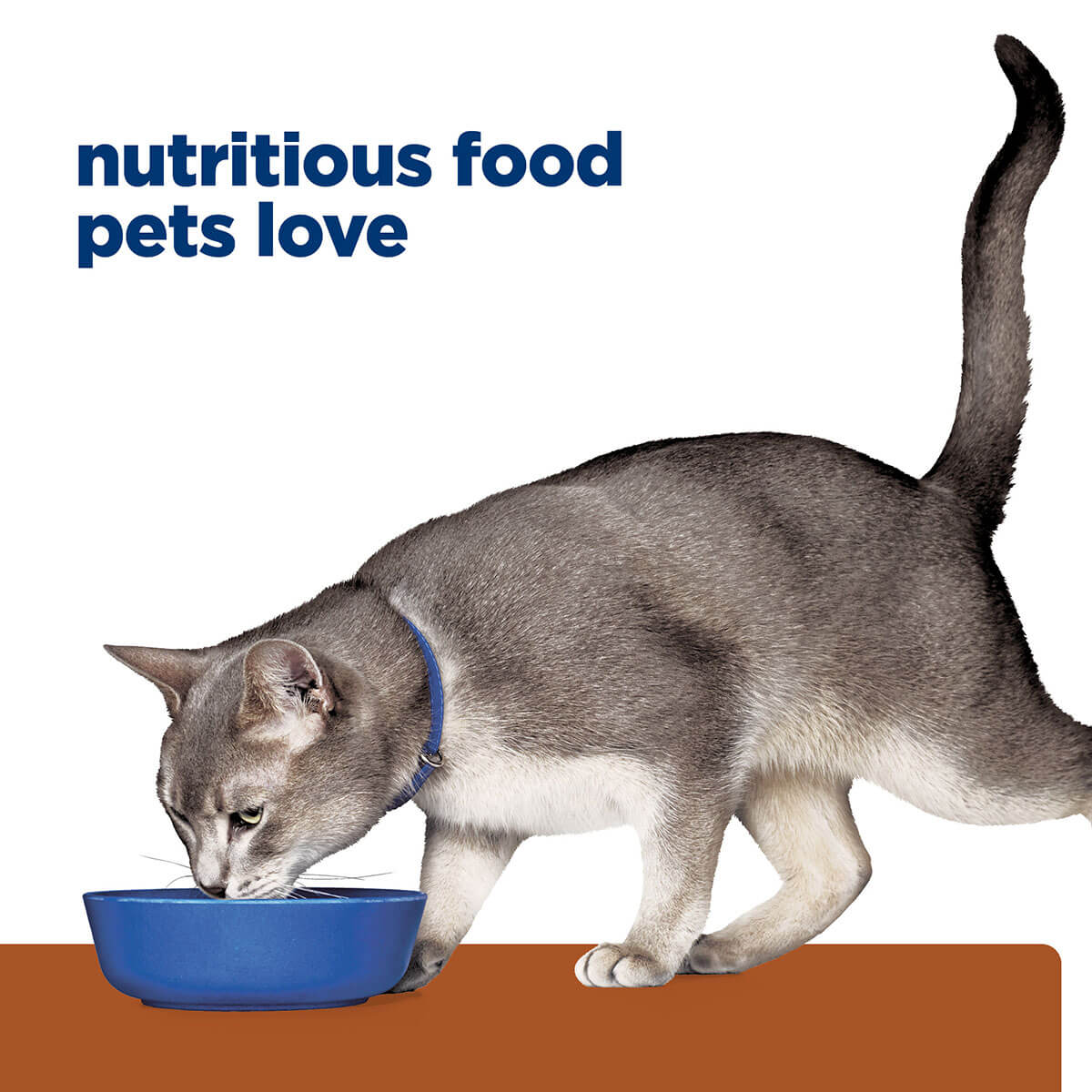 Hill's Prescription Diet K/D Kidney Care Pate With Tuna Wet Cat Food