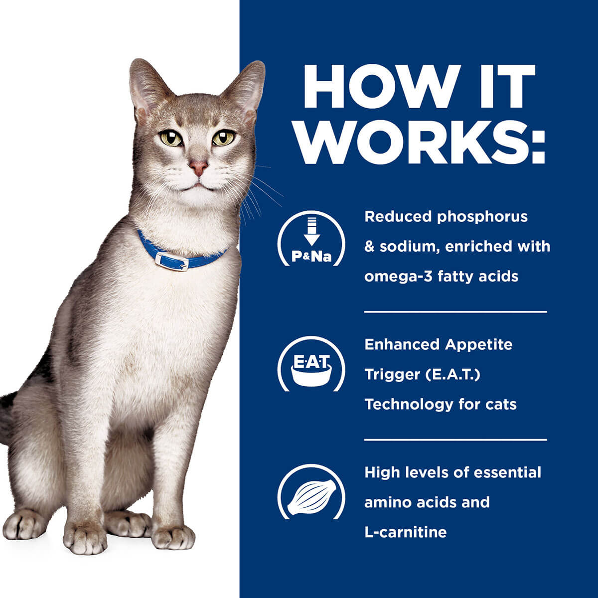 Hill's Prescription Diet K/D Kidney Care Pate With Tuna Wet Cat Food