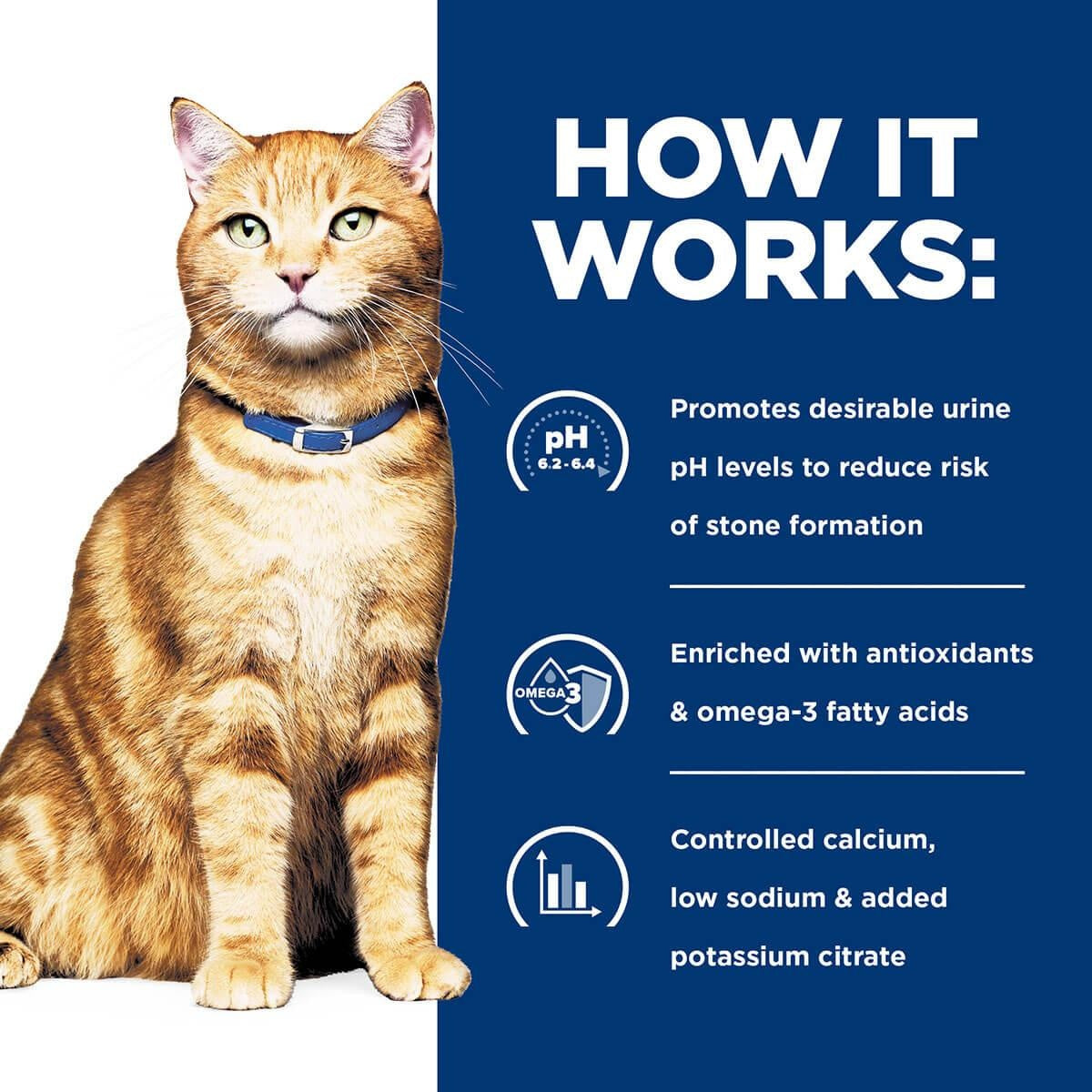 Hill's Prescription Diet C/D Urinary Care Dry Cat Food