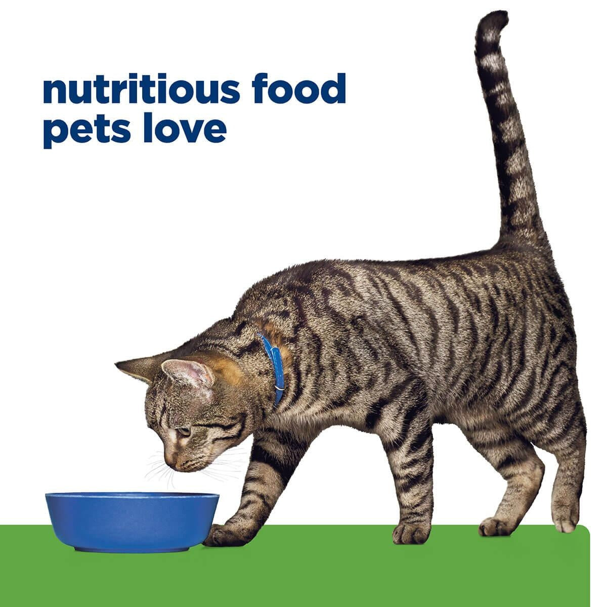 Hill's Prescription Diet Metabolic Weight Management Dry Cat Food