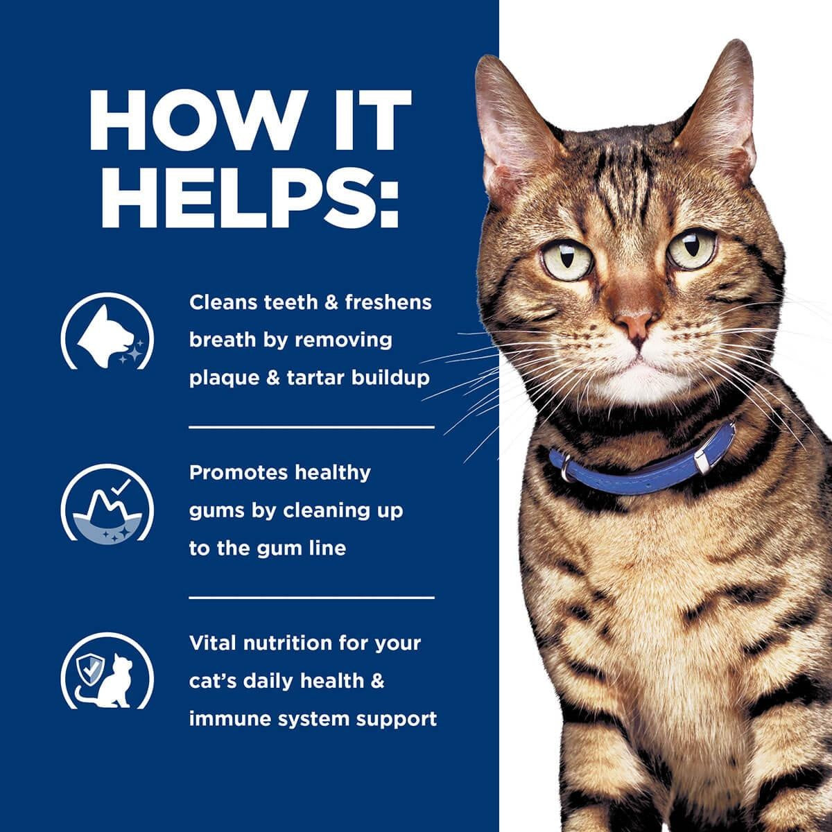 Hill's Prescription Diet T/D Dental Care Dry Cat Food