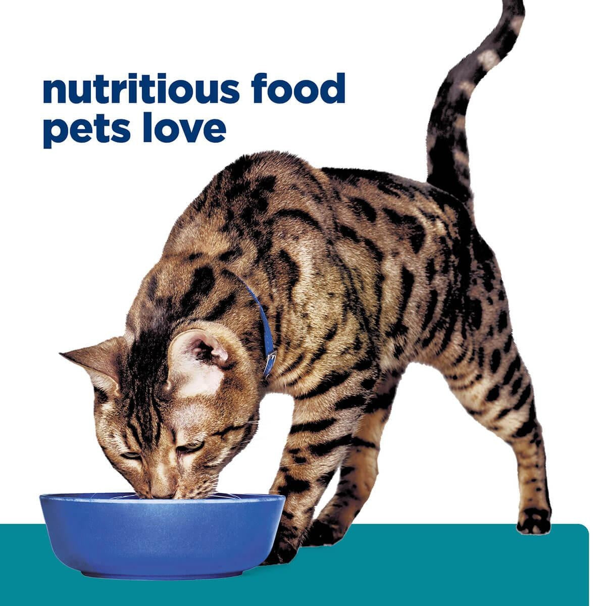 Hill's Prescription Diet T/D Dental Care Dry Cat Food