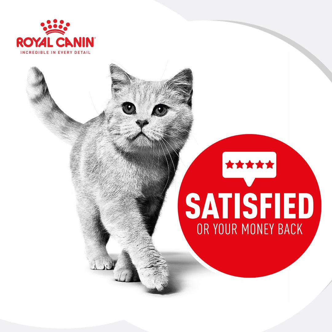 Royal Canin Veterinary Dental Dry Cat Food