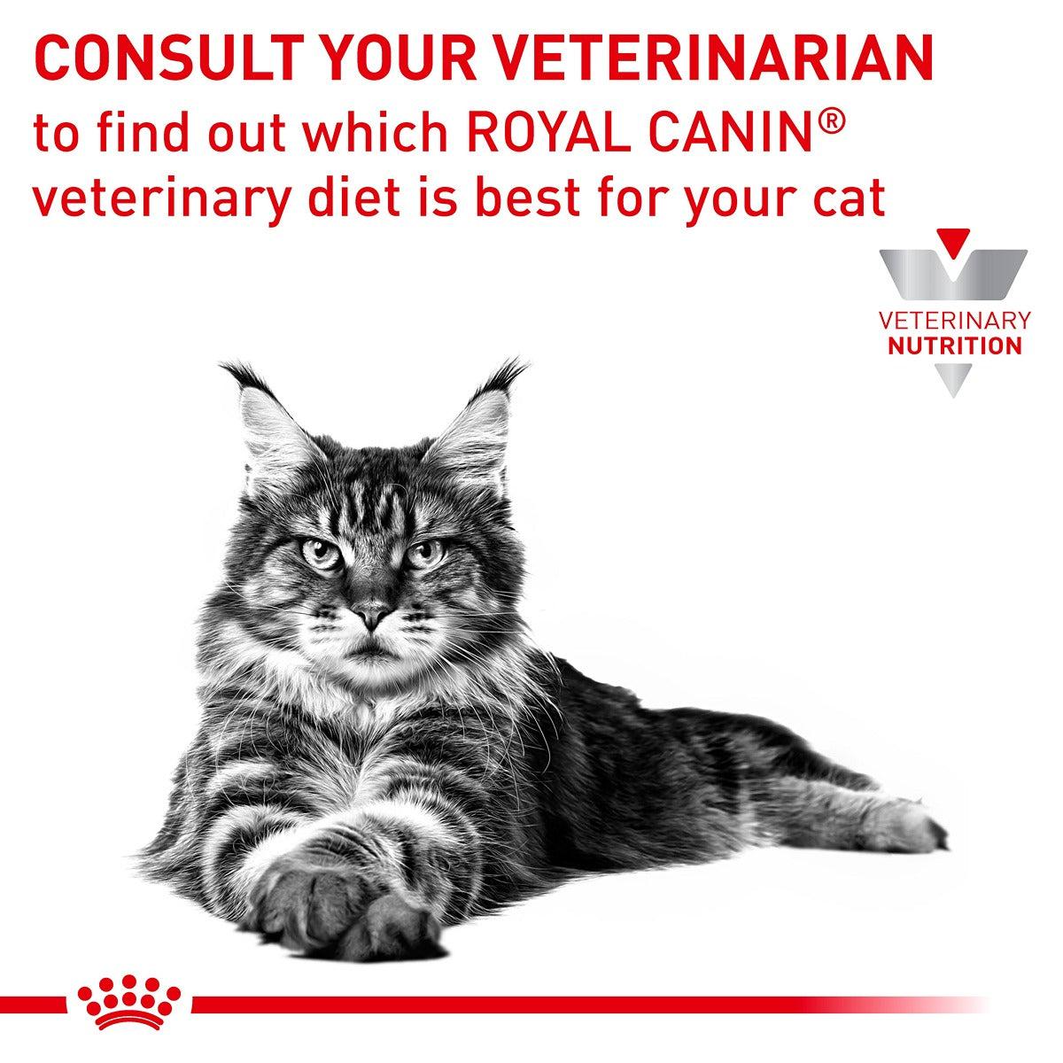 Royal Canin Veterinary Hypoallergenic Dry Cat Food