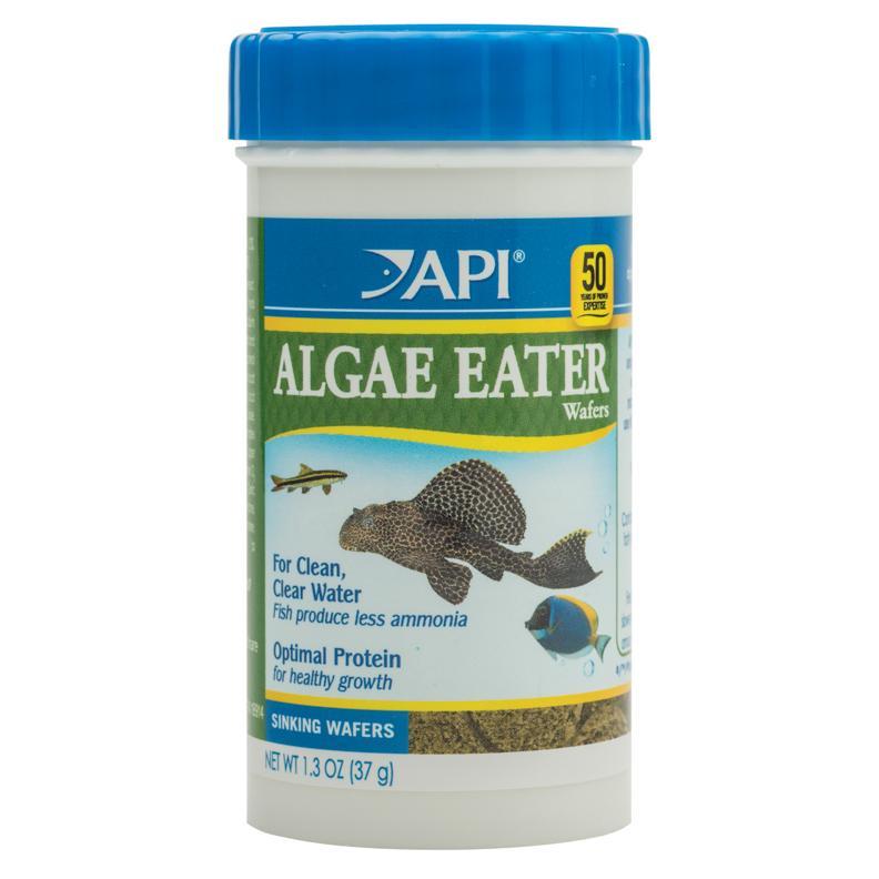 API Algae Eater Wafers Fish Food