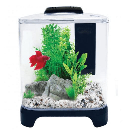 Aqua One Betta Haven Acrylic Aquarium 7L