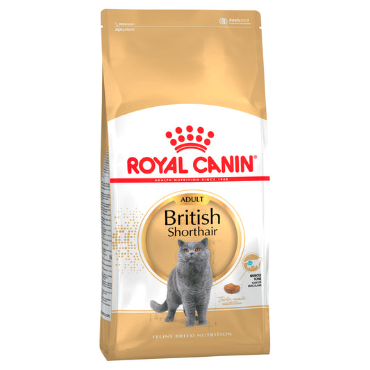 Royal Canin British Shorthair Adult Dry Cat Food