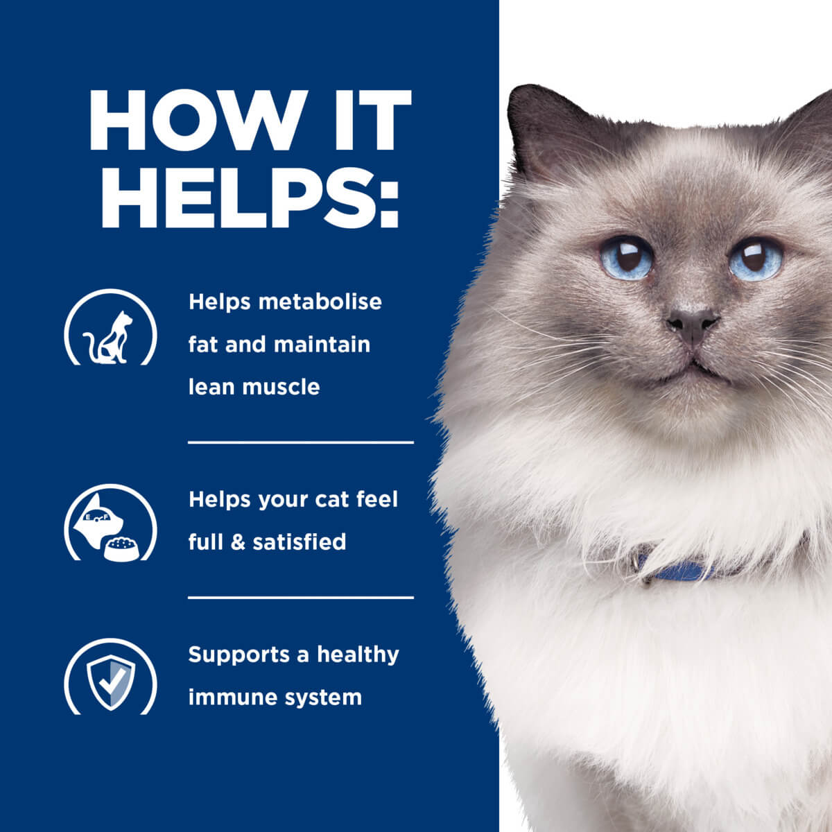 Hill's Prescription Diet R/D Weight Loss Dry Cat Food