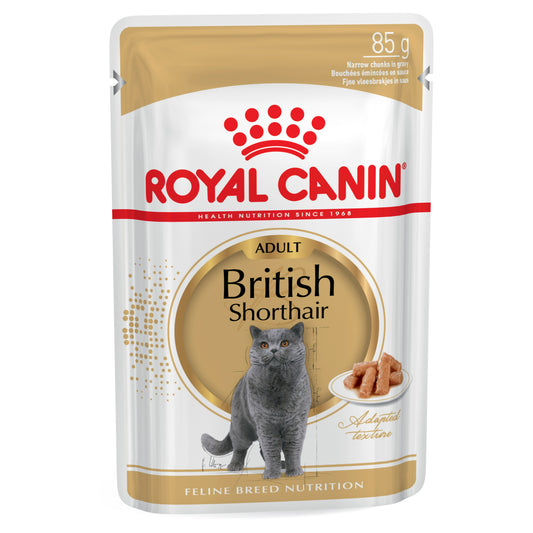 Royal Canin British Shorthair Adult In Gravy Wet Cat Food