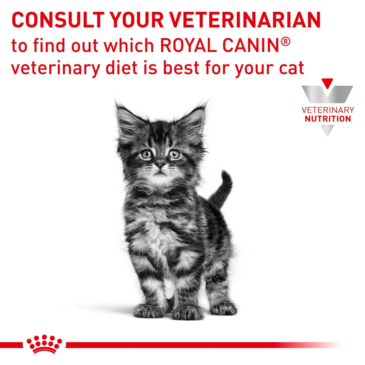 Royal Canin Veterinary Kitten Gastrointestinal Wet Cat Food