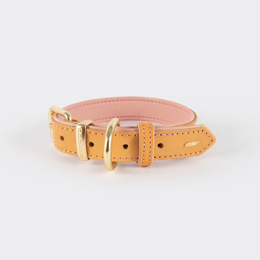 EzyDog Oxford Dog Collar Black