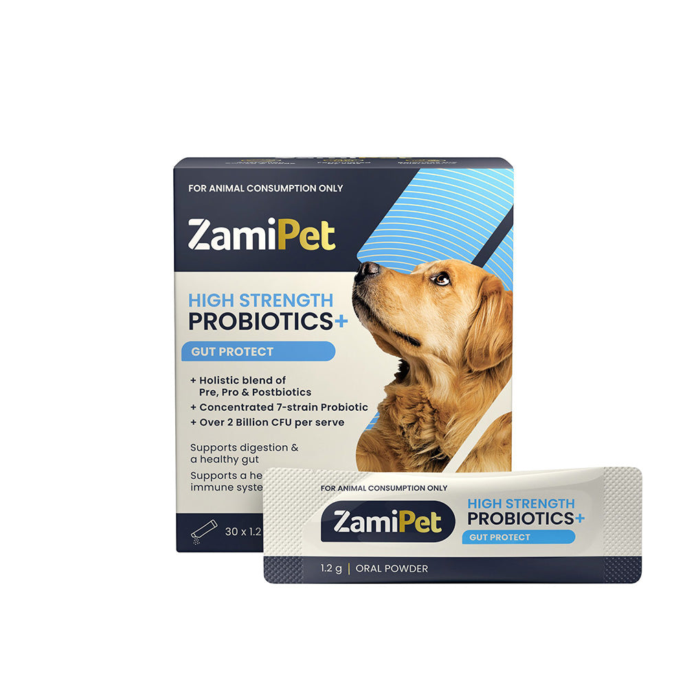 ZamiPet High Strength Probiotics+ Gut Protect Dogs 30 x 1.2g