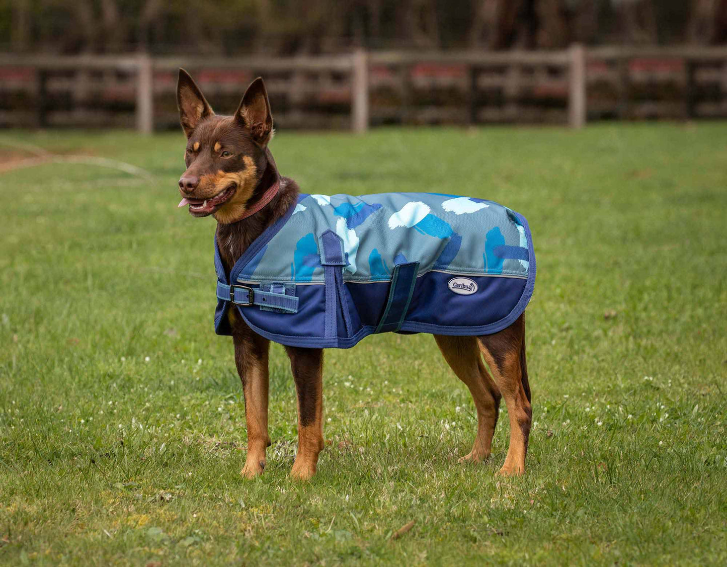 Caribu Colorado Dog Coat
