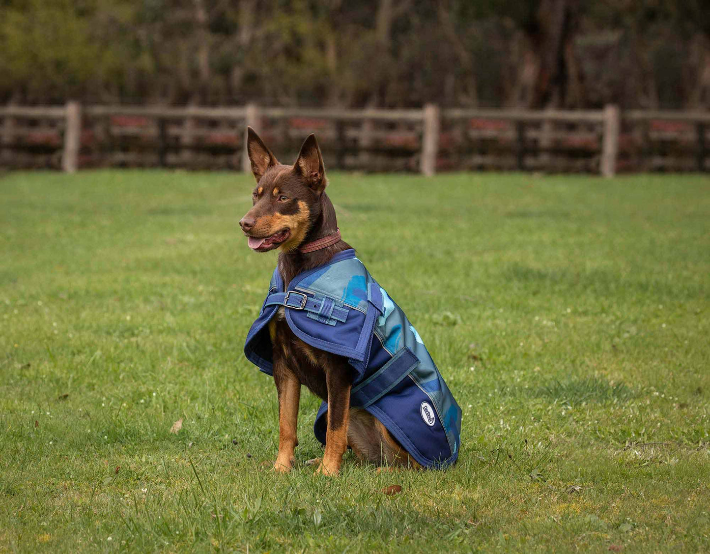 Caribu Colorado Dog Coat