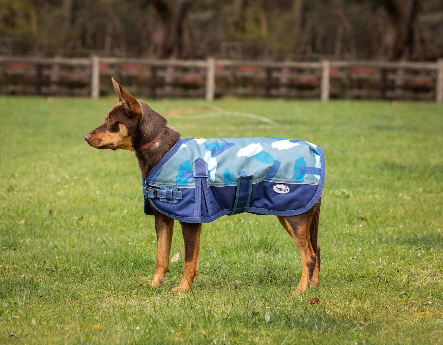 Caribu Colorado Dog Coat